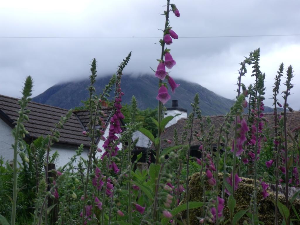 Beechwood Cottage B&B Glencoe Eksteriør billede