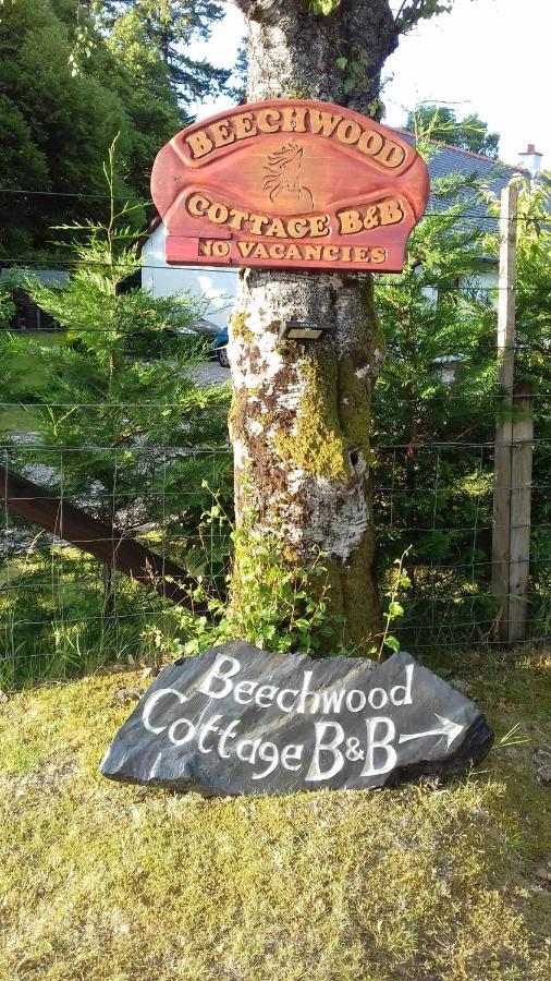Beechwood Cottage B&B Glencoe Eksteriør billede